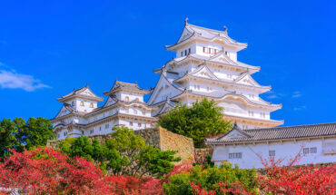 Khung cảnh lá chuyển màu ở lâu đài Hiroshima.