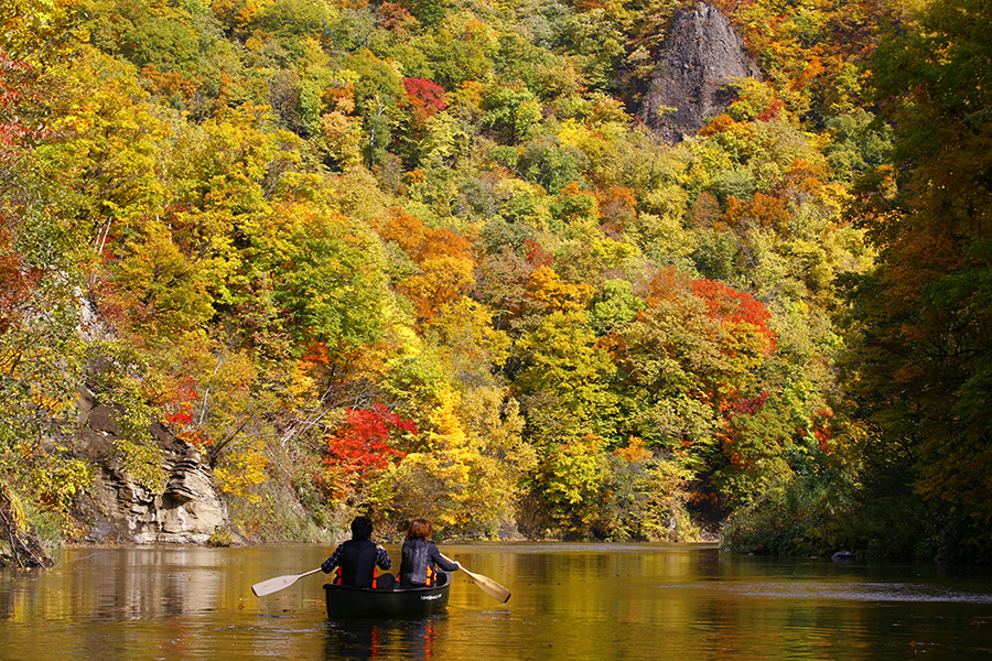 Ngồi thuyền ngắm cảnh thiên nhiên lá vàng - đỏ ở Sapporo - Nhật Bản